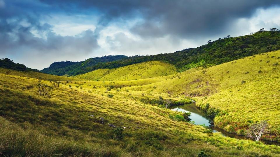Horton Plains National Park