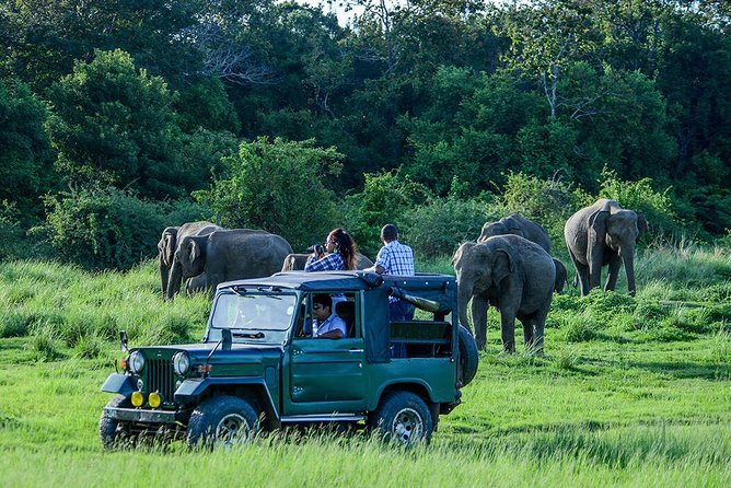 Udawalawe National Park